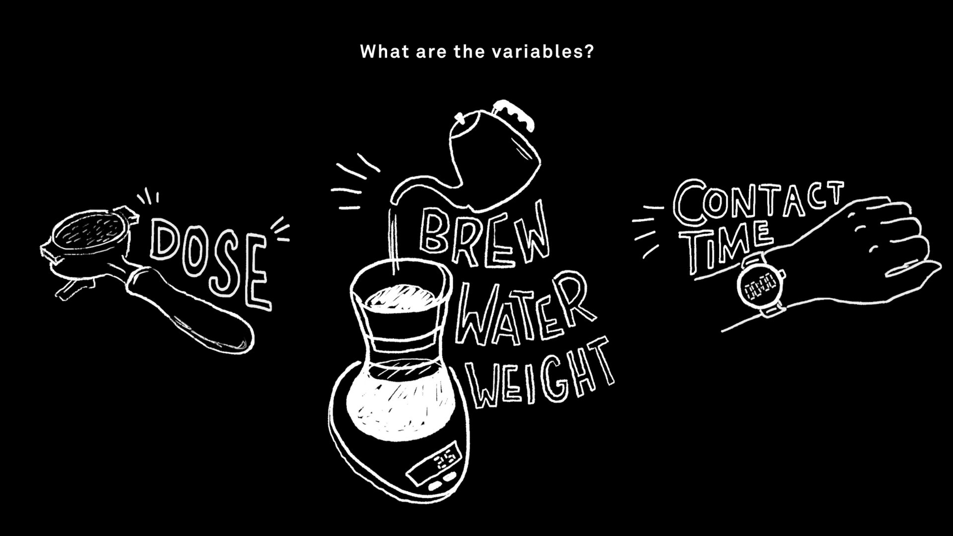 Barista Guides | Filter Basics